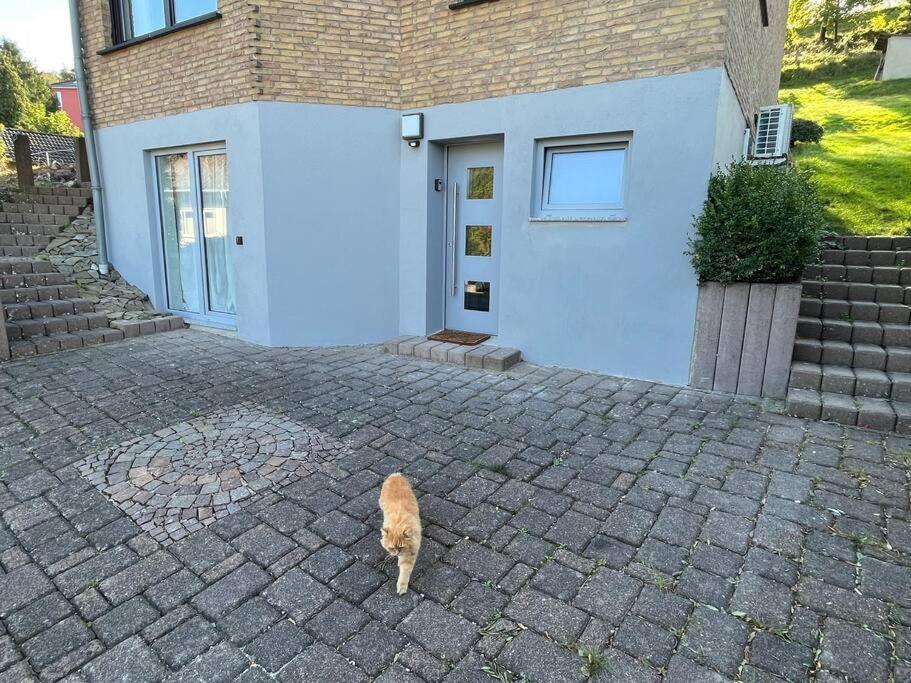 Vila Gemuetliches Feriendomizil*Eifel* Bad Muenstereifel Exteriér fotografie